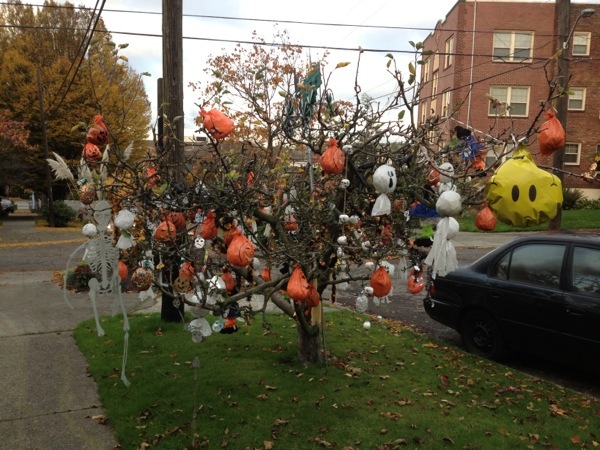 20121111-182139.jpg
