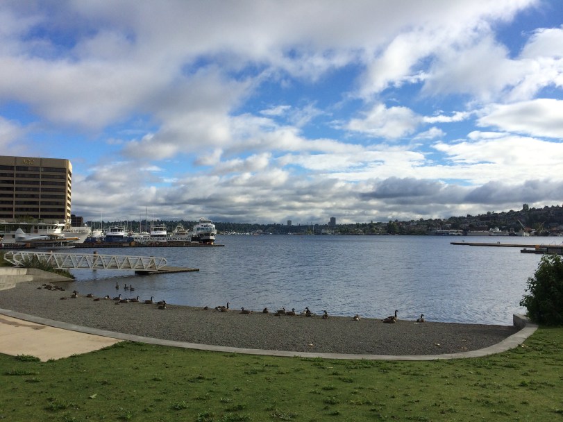 2014-06-28 08.22.07-1